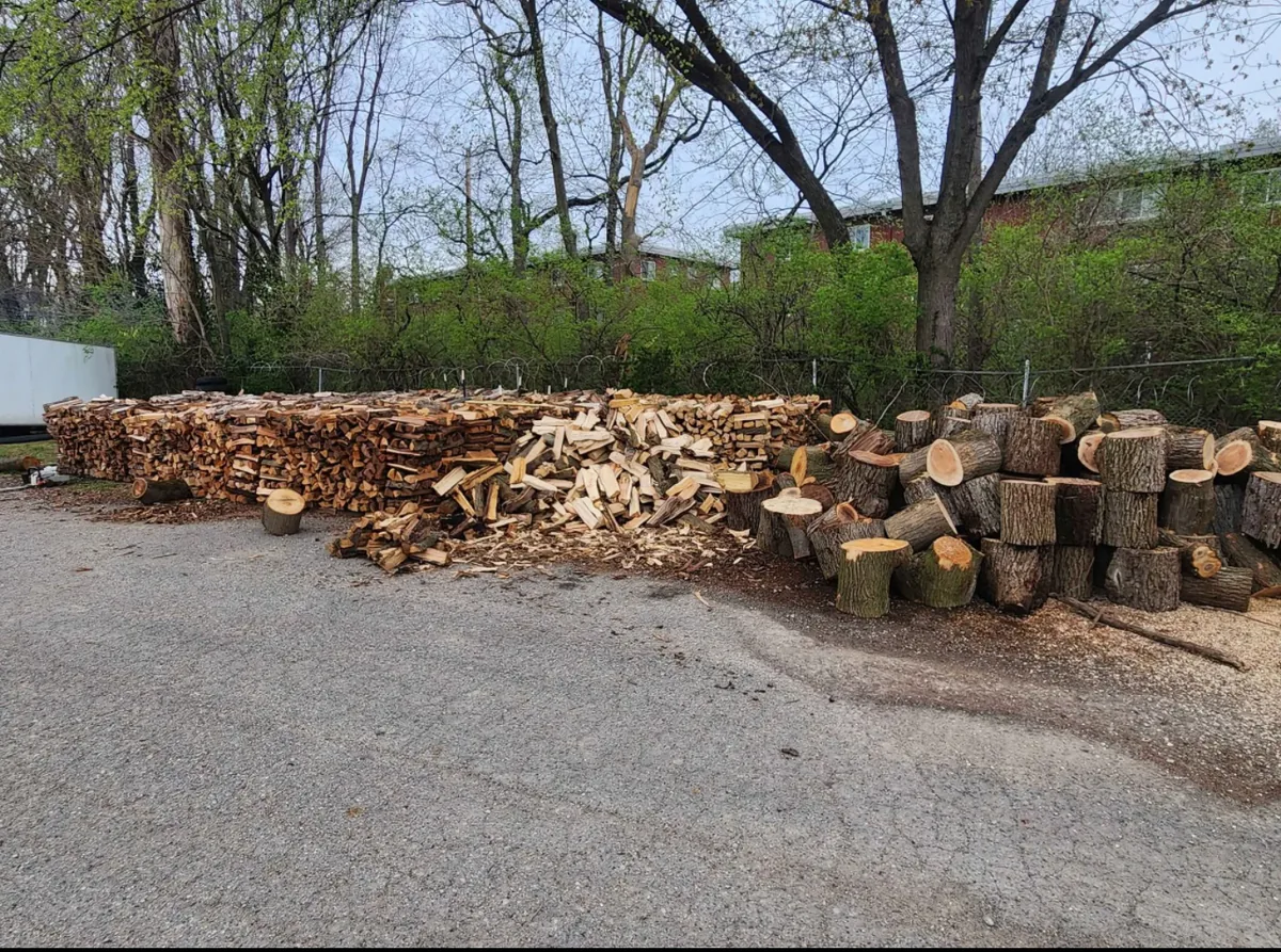 Cut and stacked firewood from tree removals by Cristobal Tree Services