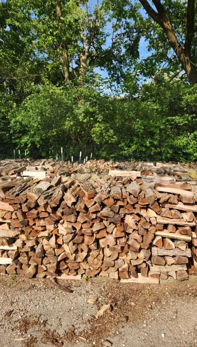 Stacked split firewood from a Cristobal Tree Services job