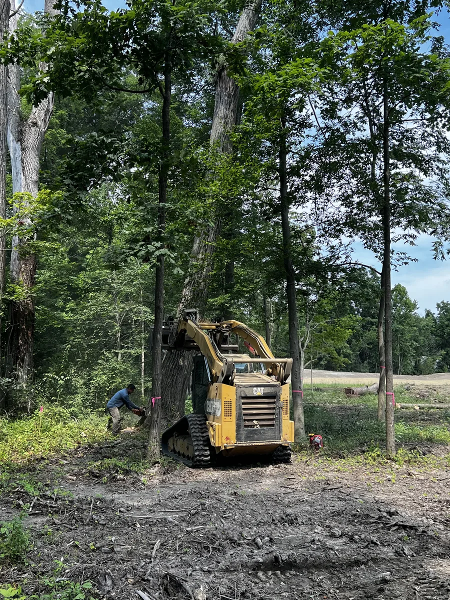 Skid-steer clearing trees and brush on a wooded lot for Cristobal Tree Services