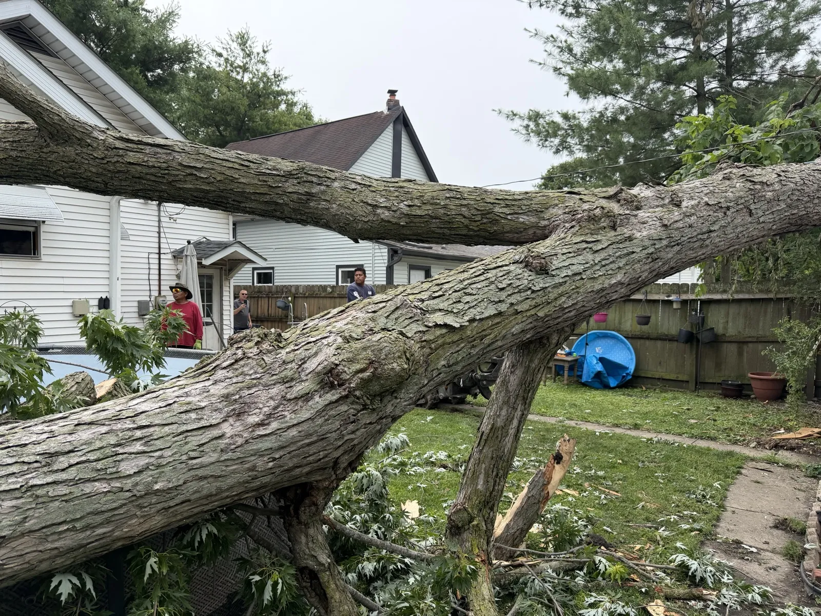 Massive storm-felled tree down across a Central Indiana backyard, cleared by the Cristobal Tree Services crew