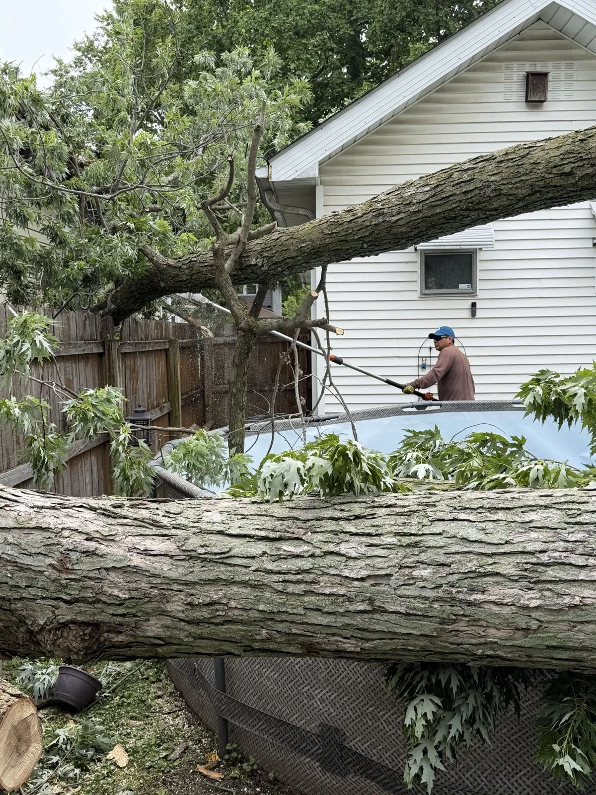 Cristobal Tree Services worker cutting up a large storm-downed tree during a backyard cleanup near Indianapolis