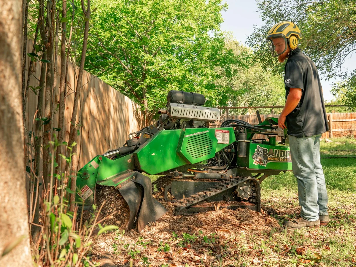 Stump grinder machine grinding a tree stump down below ground level